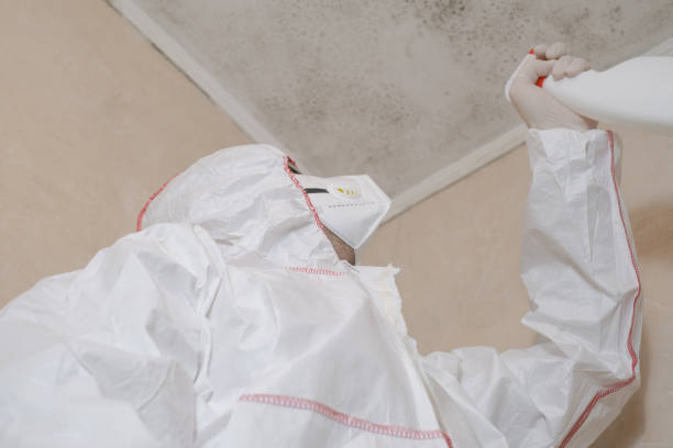 Best Mold Remediation  in Keeler Farm, NM