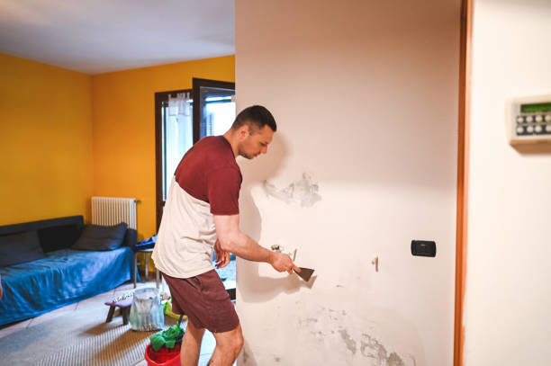 Best Mold Remediation Services  in Keeler Farm, NM